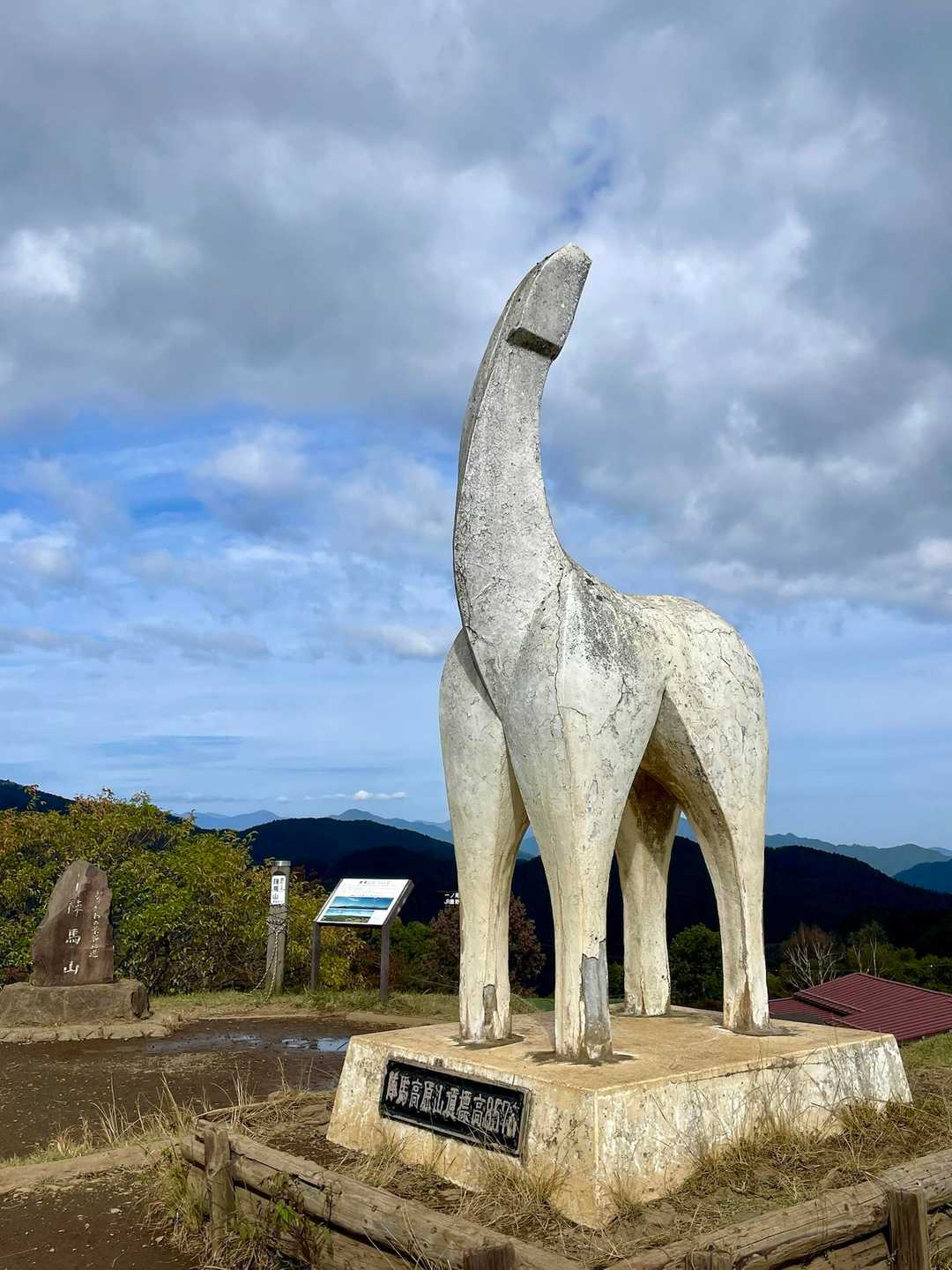 これを見に👀