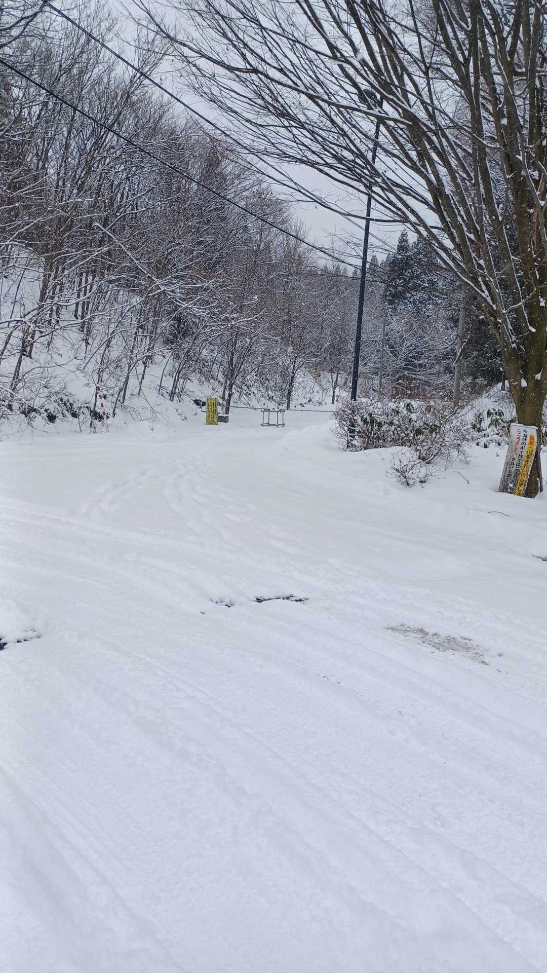 大開平〜階上岳コースの写真