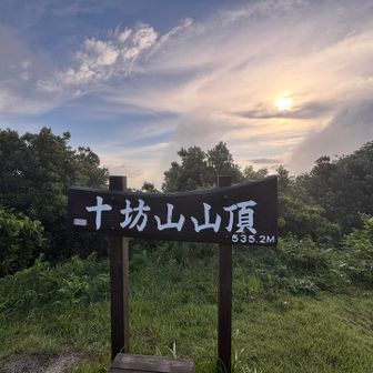 朝でも暑い、🫠パンに水分を持っていかれる🦑
