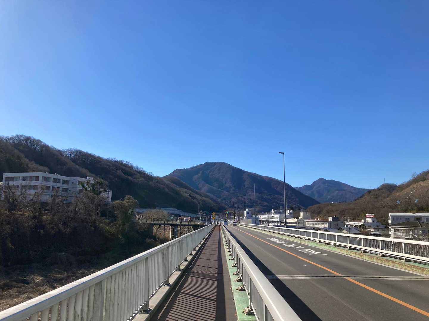 今日登った高川山が後方に見えています。