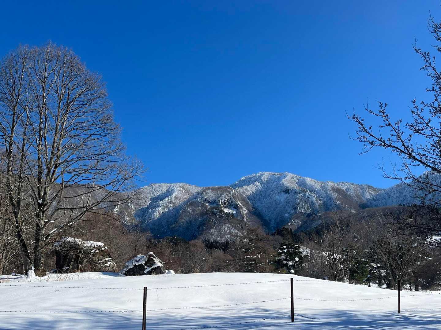 瀧山 往復コースの写真