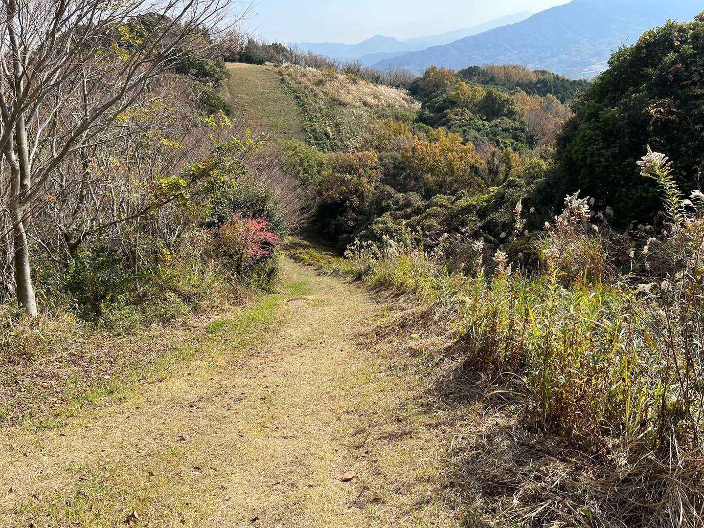 大間山-八角目峠-荒平山-三池山 往復コースの写真