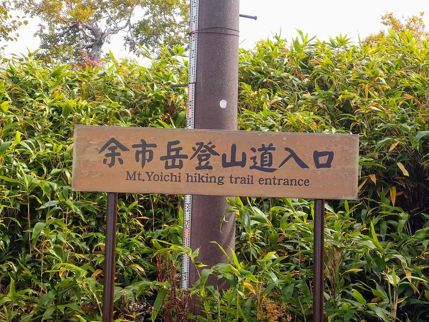 山頂駅-余市岳 往復コースの写真