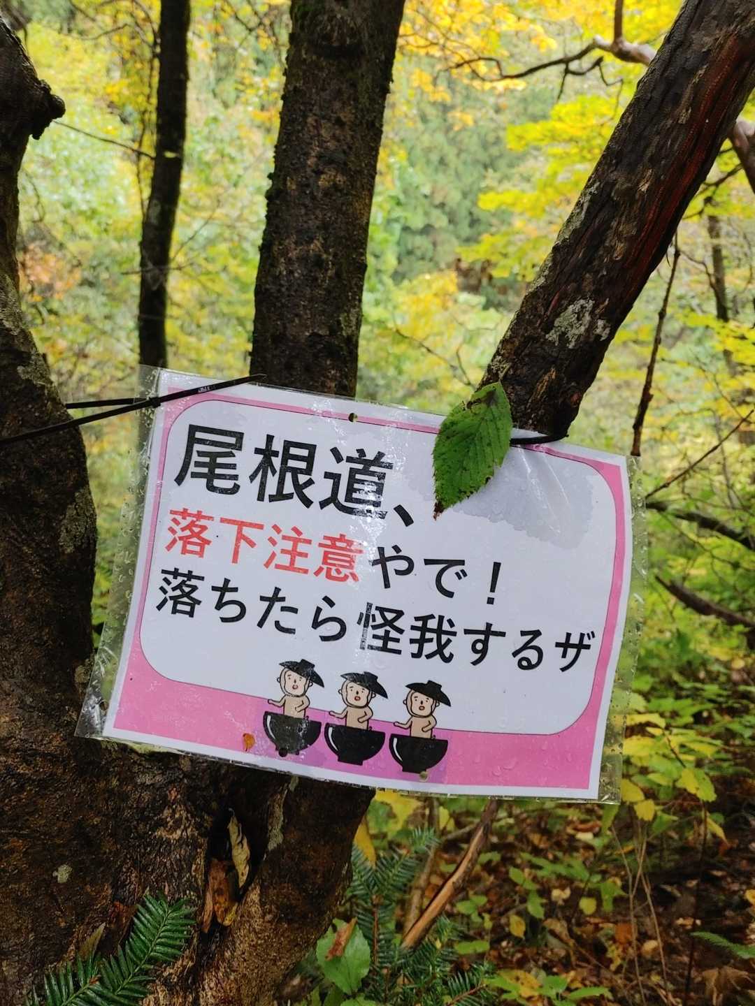 看板の書き方が(笑)