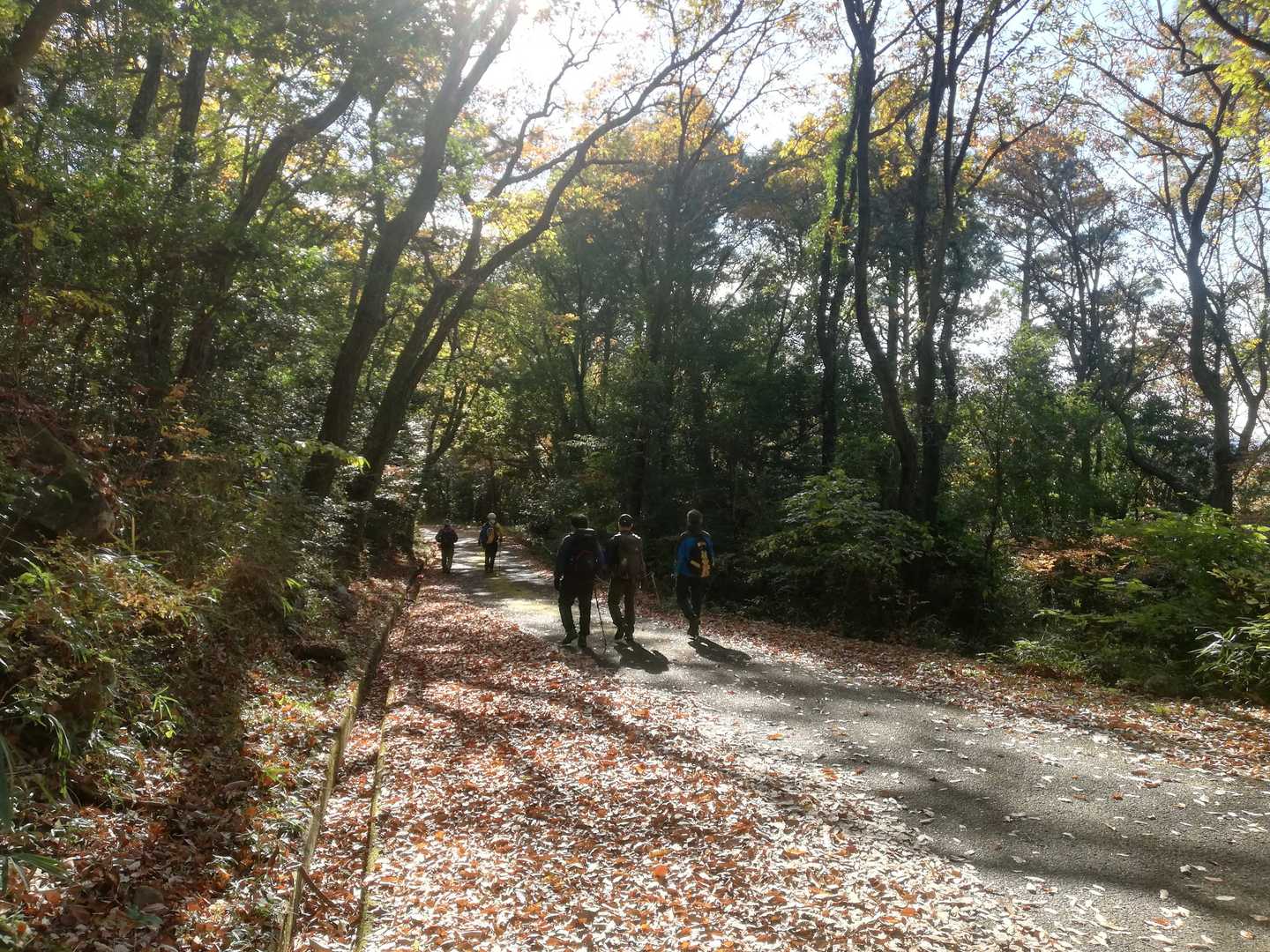 丸金前バス停-碁石山登り口-碁石山-洞雲山-洞雲山・碁石山 縦走コースの写真