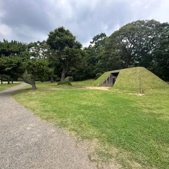 いくつかありましたぁ⤴︎