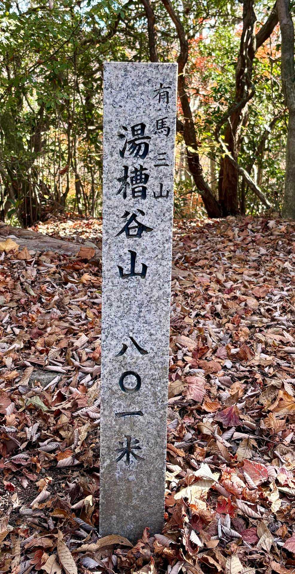 今日の最高峰
