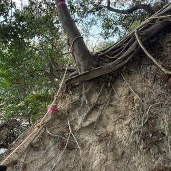 最後の最後に…………😓
1番の難関
