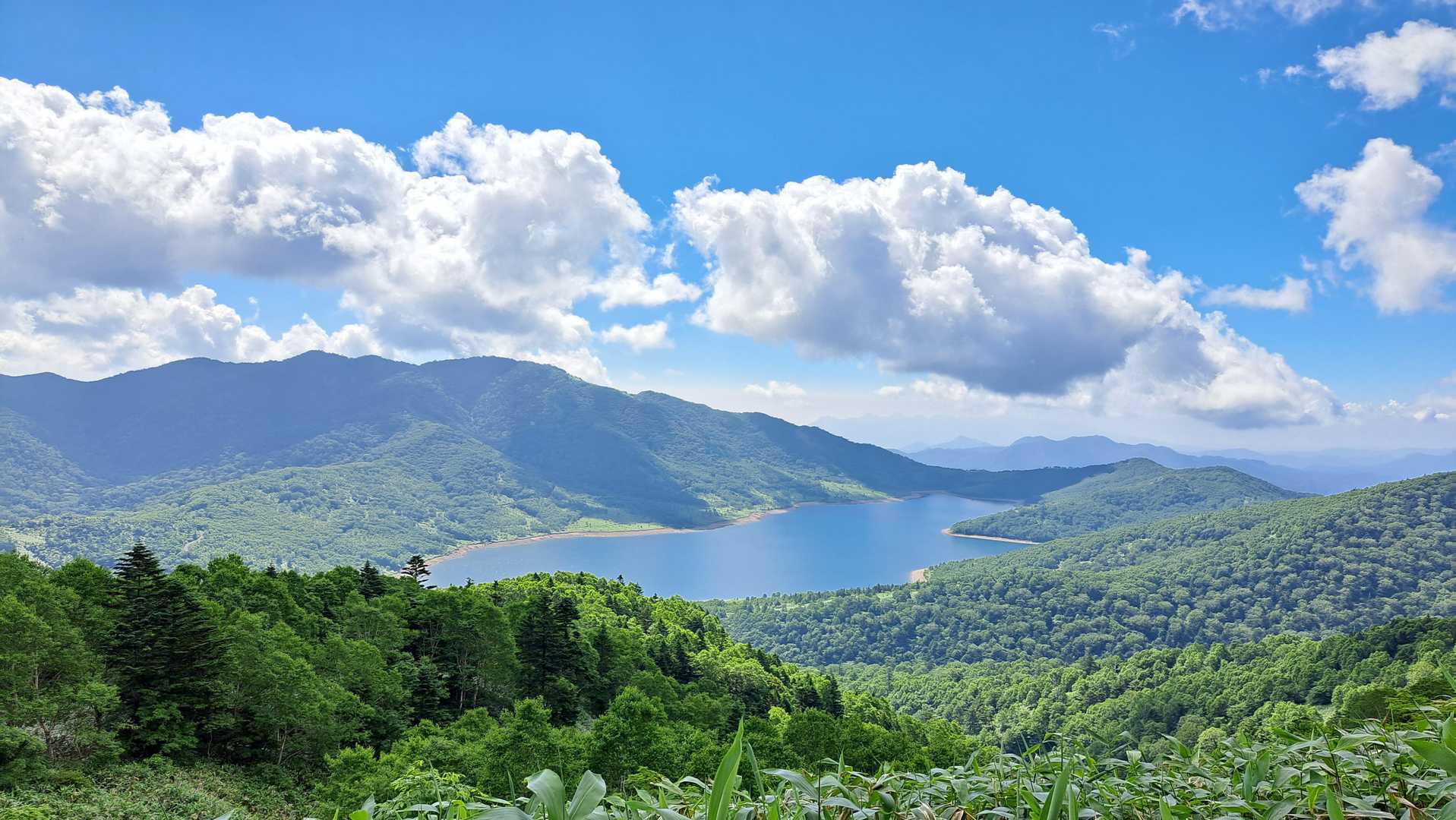 　やや急な樹林帯の道を抜けるとところどころで視界が開け、野反湖が見渡せます。