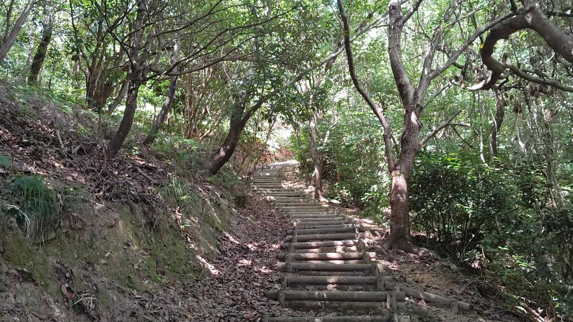 木陰の道は涼しいはず！！
と思いきや
風がなくて意外としんどいです💦
