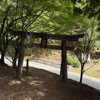 鳥居まで帰ってきた