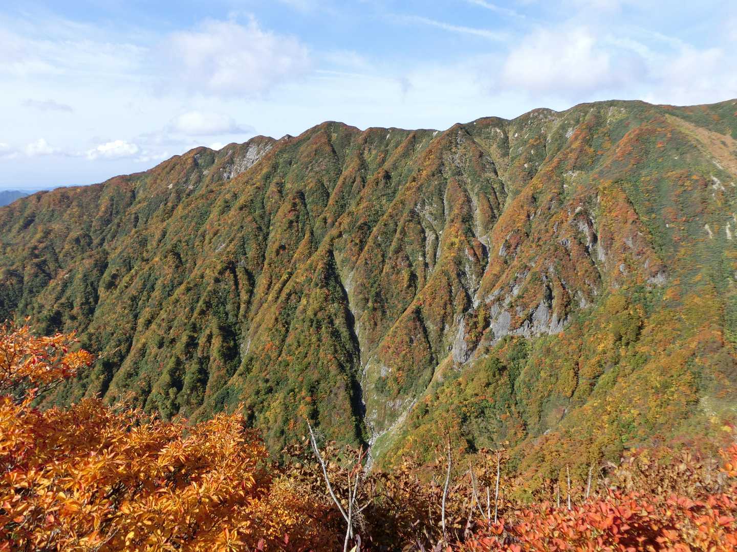 アゴクの紅葉スラブ
