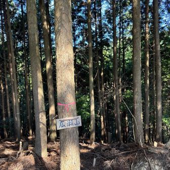 広瀬山グレーピーク🩶
かなりの急登でしたー^_^