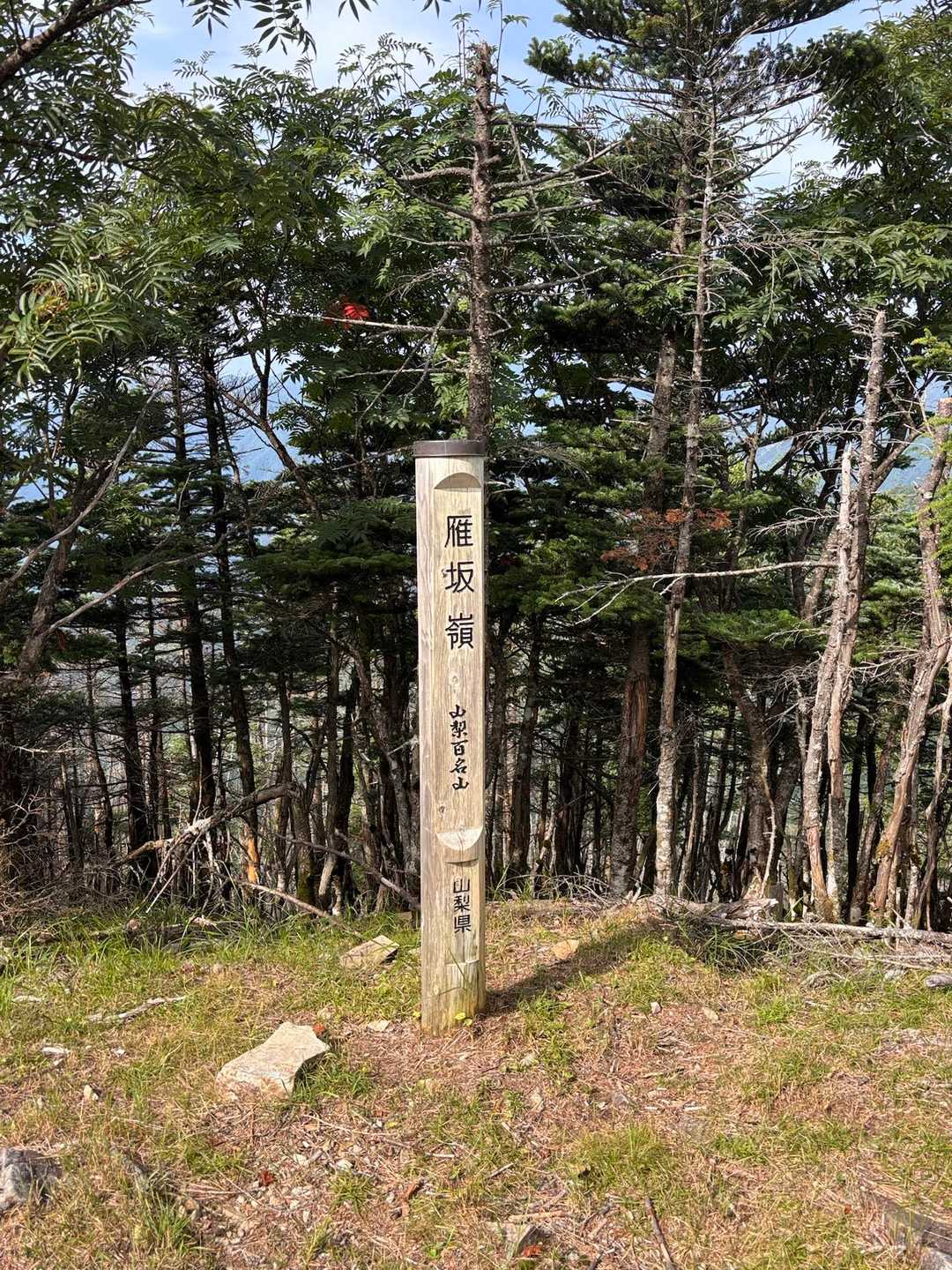 しつこく看板二つ