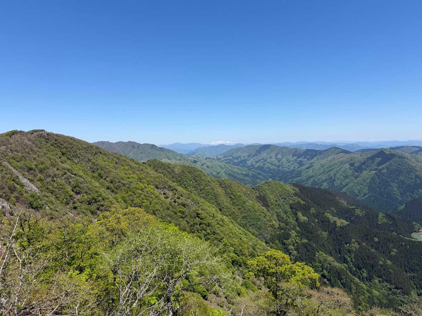 国見峠-国見岳-大禿山-御座峰 往復コースの写真