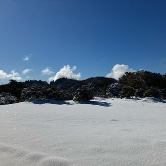 めちゃ綺麗です♪