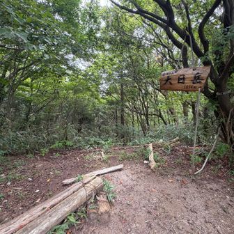 大日岳に着いたので、ここでUターン⛰️