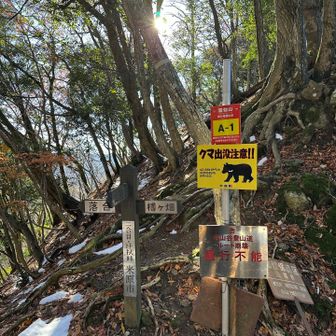 汗拭き峠
熊はきっと冬眠中🐻