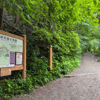 ここで、６号路へ。
