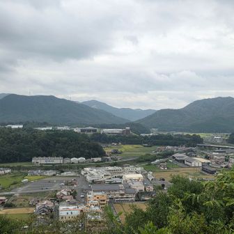 反対側も撮って本日終了😍