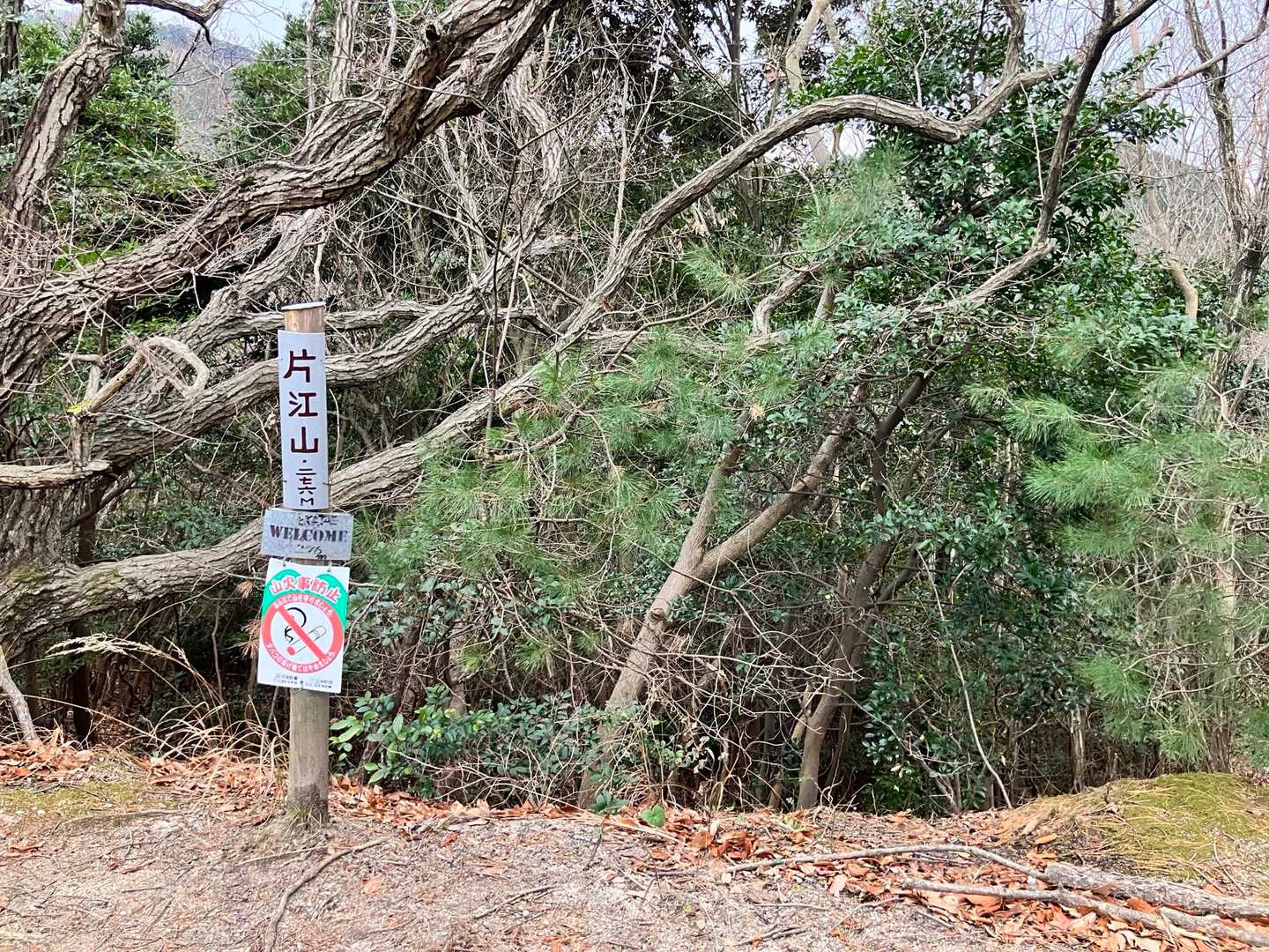 598座目　片江山