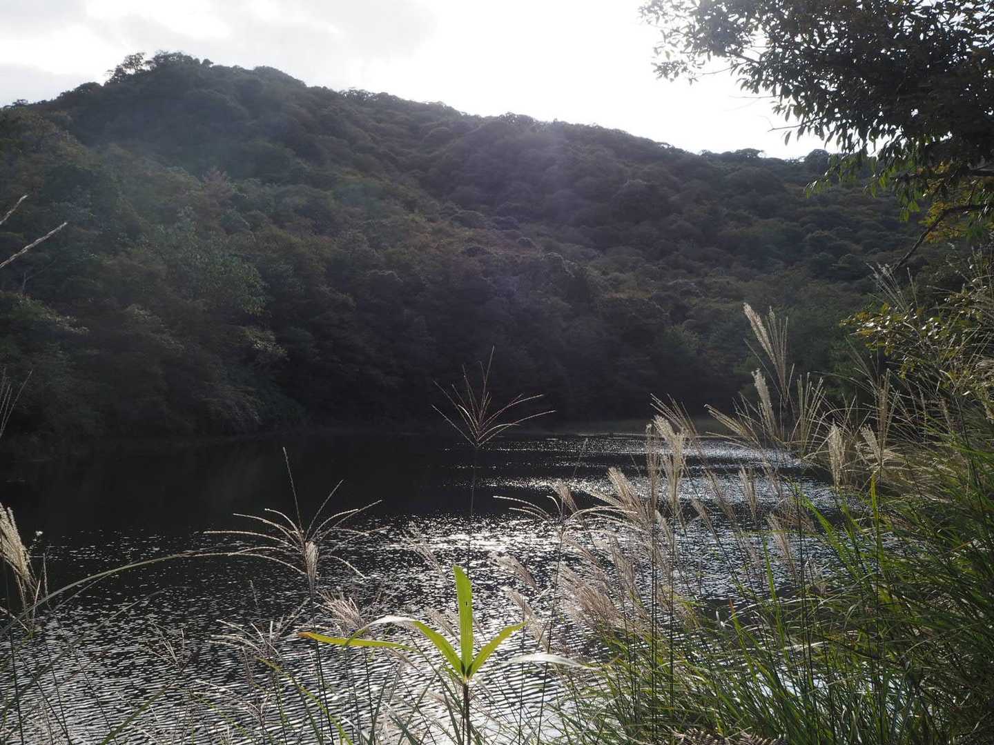 秋よねぇ
