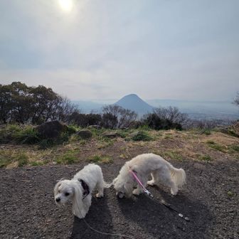 さて下山
お疲れ山でした！
次はあそこの飯野山トライ？！