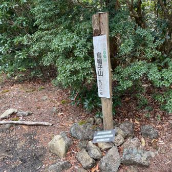 山頂
直前の急登は結構きつい
烏帽子っていうくらいやからそらそうやろな
