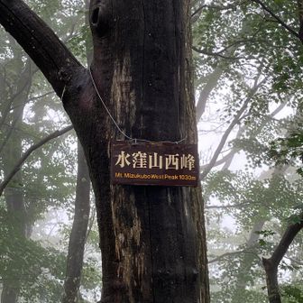 水窪山西峰は初めて