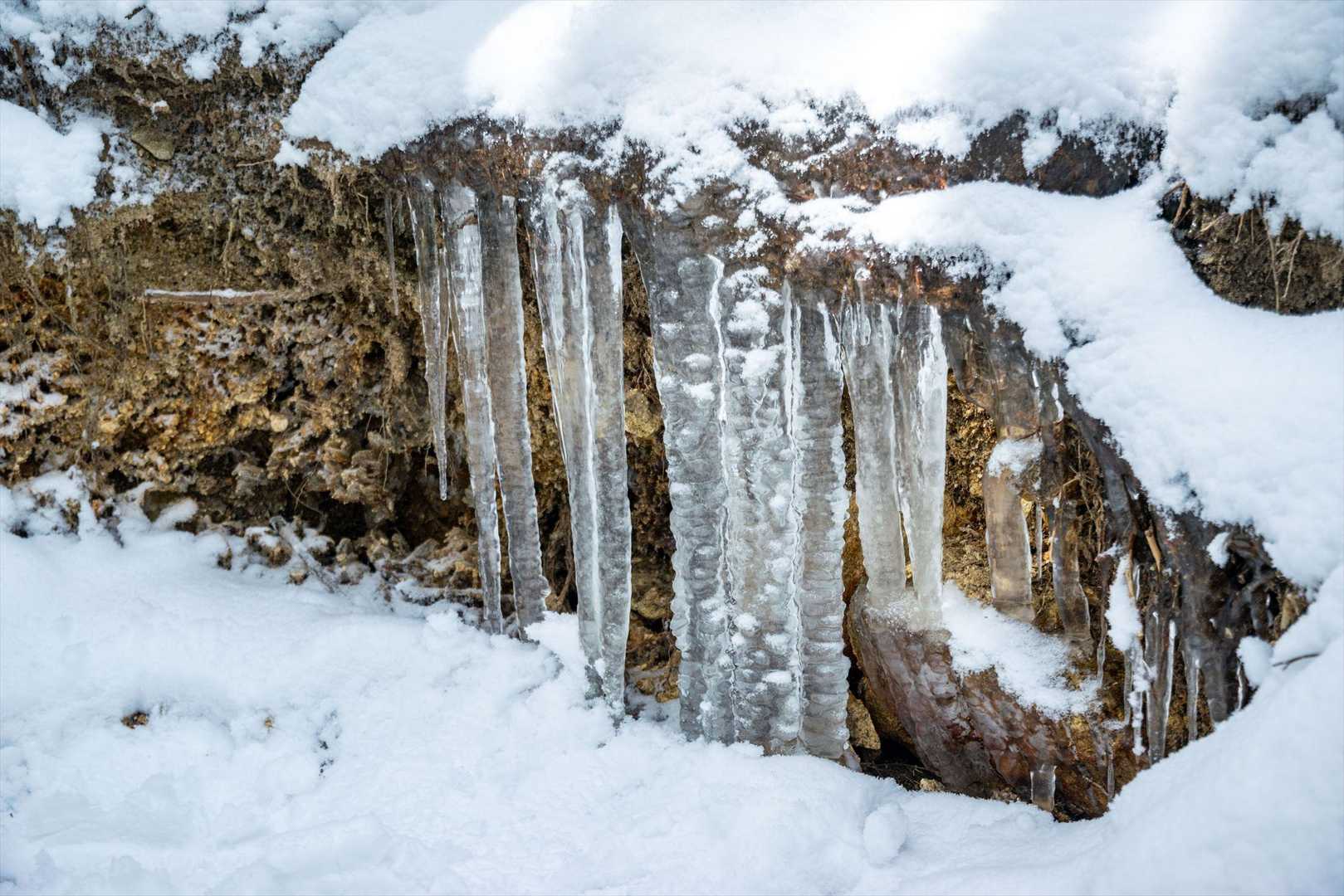 三大寺登山口-飯道山 往復コースの写真