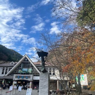 いい天気になったー