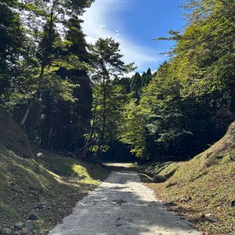 豊前坊駐車場からしばらく舗装路。
裏へと続く明るい道。