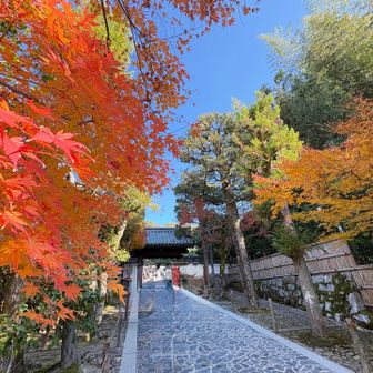 銀閣寺で綺麗な紅葉が見れました〜🍁