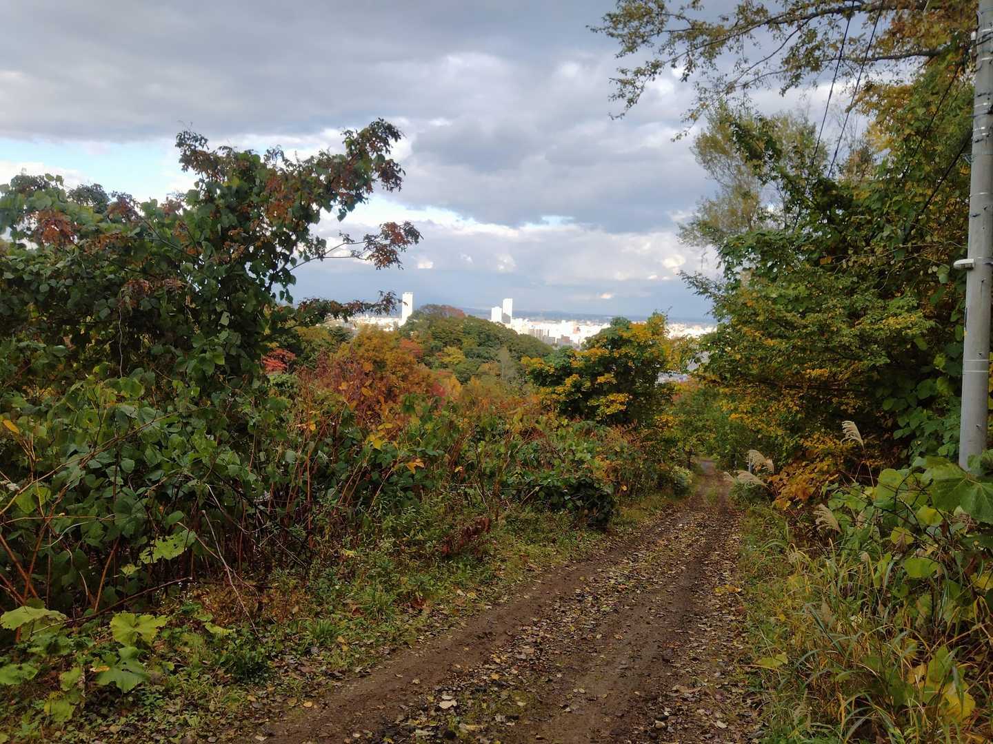 下っていくと住宅の間を抜けて駐車場に出ました。
