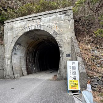 戻ってきました〜\( ´˘`)/