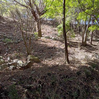 破城の跡のような駐車場法面