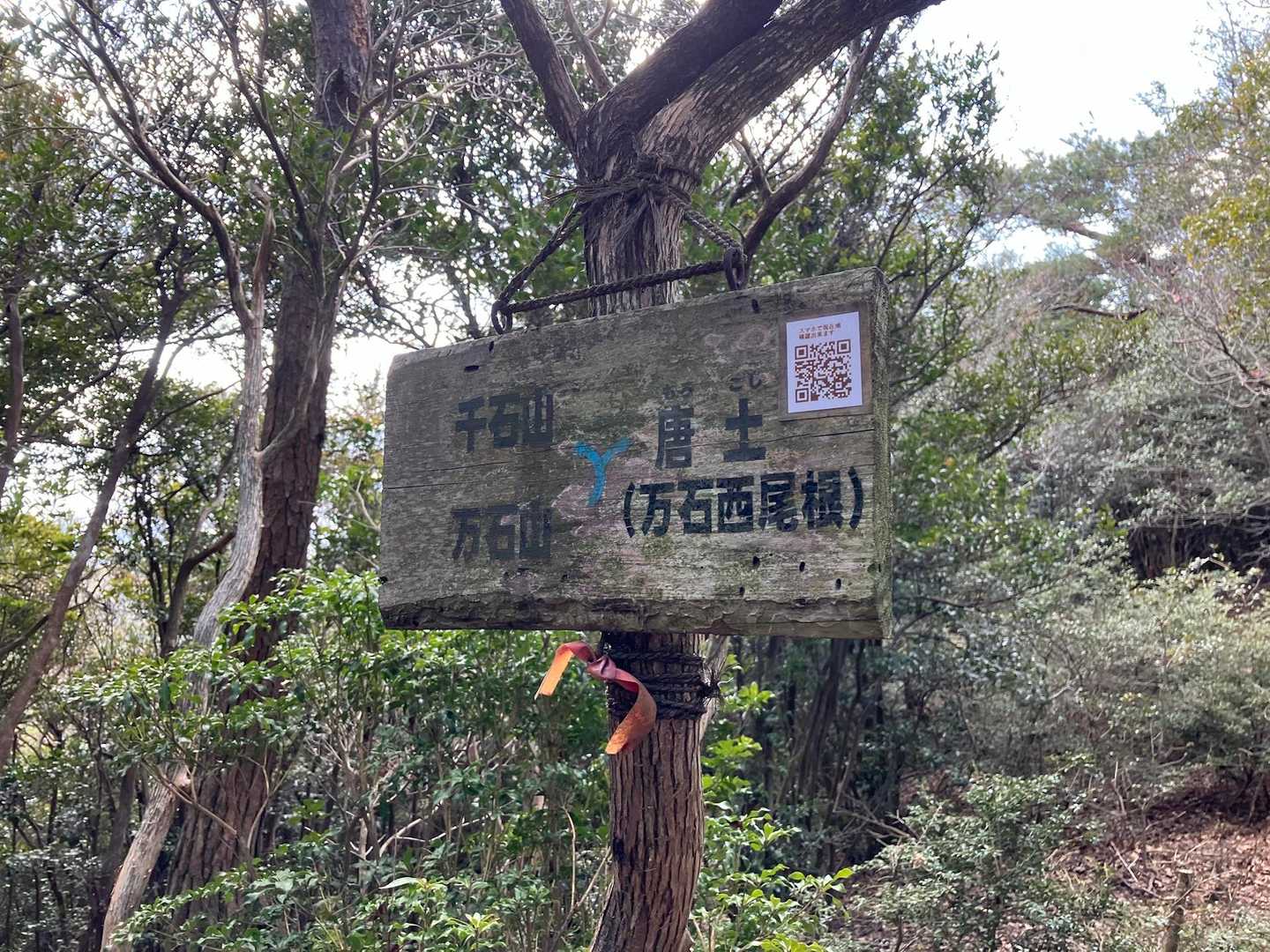 この看板🪧レポで見ますね