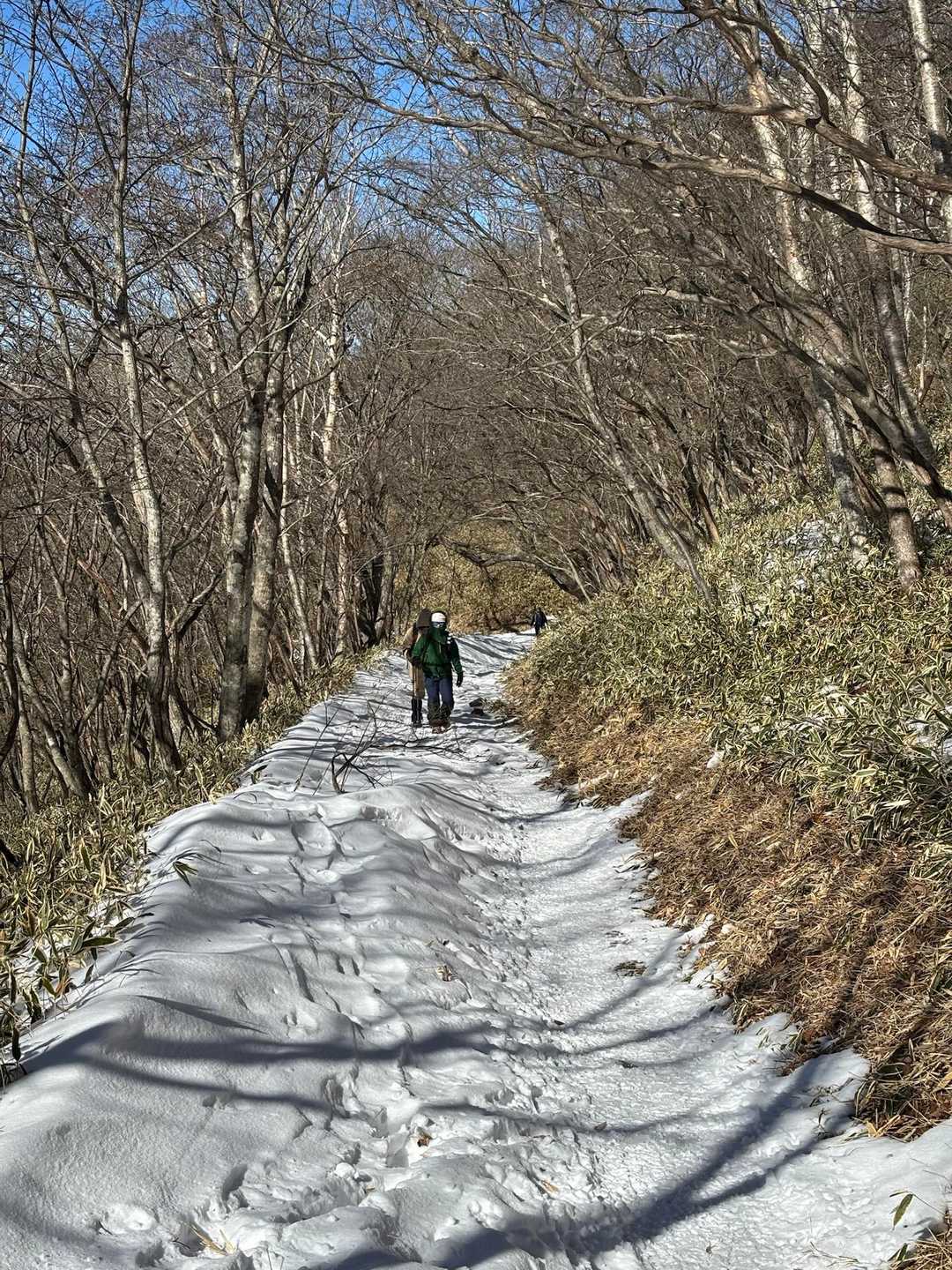 小地蔵岳-長七郎山 周回コースの写真