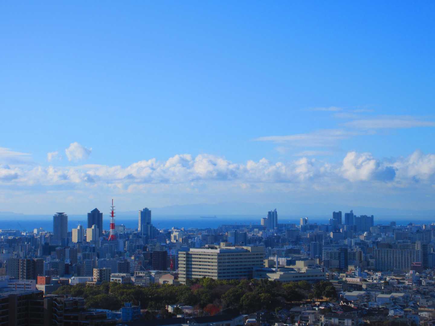 諏訪神社-市章山 往復コースの写真