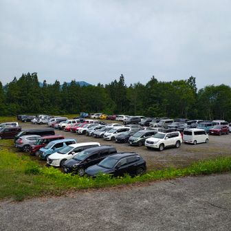 山奥の林道にこの台数は凄い