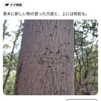 つい3日前に投稿された熊の爪痕の情報でした！😱🐻極楽寺山は過去にも何度か熊の爪痕や熊棚の写真が投稿されています💦極楽寺山は登山者が多い山なので熊がいるのはきっと寺より奥の方だろうと思っていましたが意外に近くにいるようです😨
つい先日、速谷神社近くの団地に住む職場の人から「◯野はよく極楽寺山に登ると言ってたな。最近うちの家の近くで熊の目撃情報があったから極楽寺山の方にもいるかもしれないから気をつけろよ」と言われたばかりでした💦