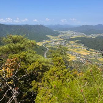 近畿舞鶴道が下に見えます