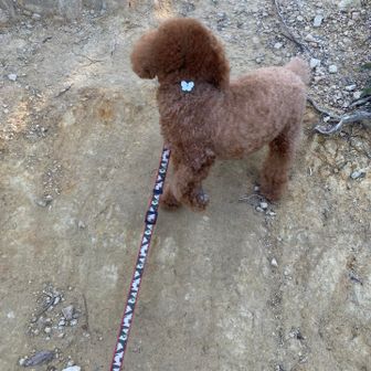 今から行くよ〜！まだ、登山口に車はなくおひとり様スタート▶️