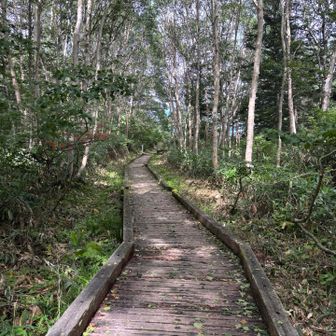 駐車場へのビクトリーロード