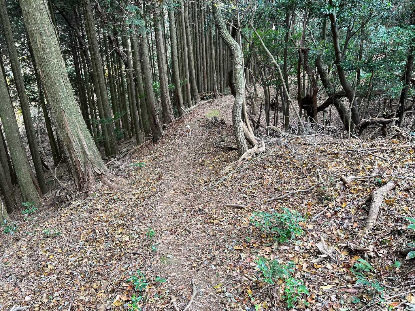 気がついたら、置いて行きそうになってました😅