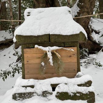 権現さまも雪化粧