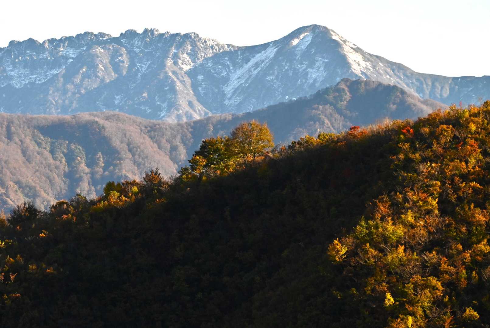 いきなり見えたー❗️
八海山😄