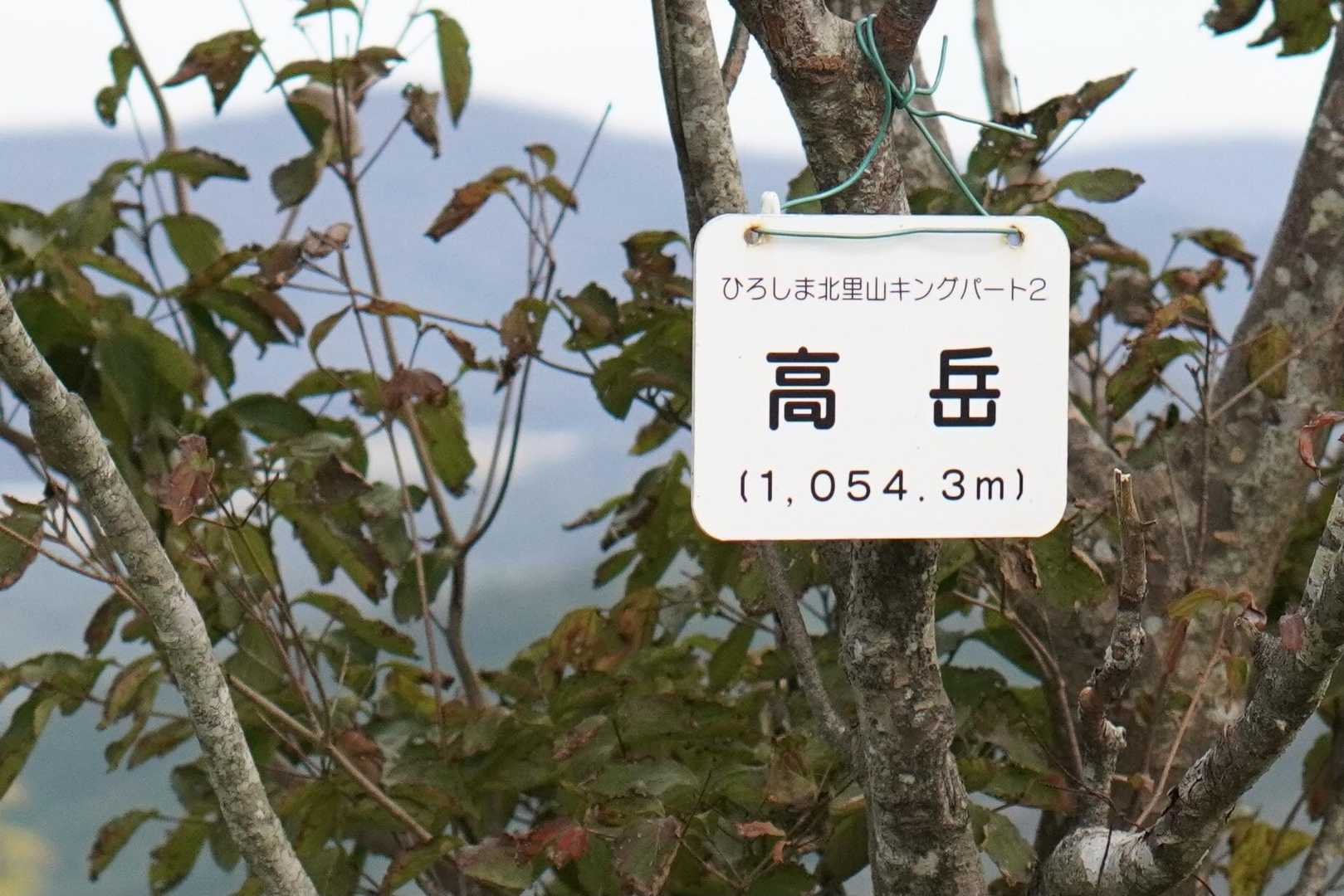 樽床橋登山口-高岳 往復コースの写真