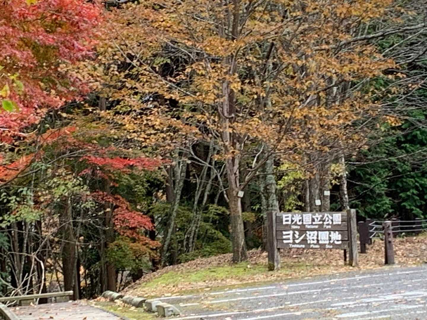 ヨシ沼園地