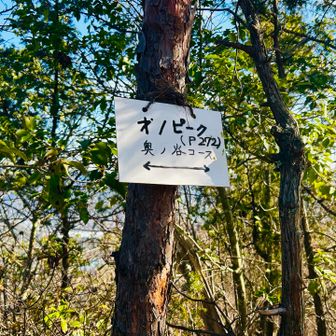 第1ピーク
最初オノピークって読んじゃった💦